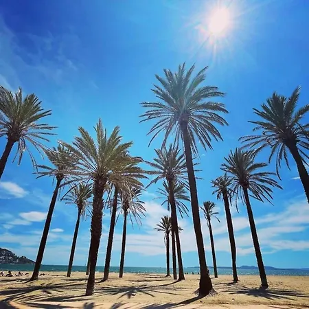 Charming Near إمبوريابرافا